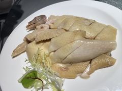 -大鸽饭(体育西路店)
