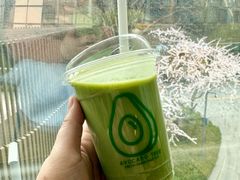 -油梨树AVOCADO TREE(望京店)