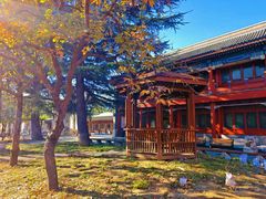 -北京石刻艺术博物馆(五塔寺)