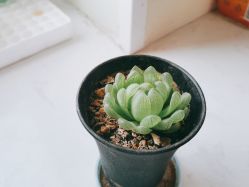 -邢台妇产医院