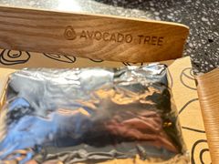 -油梨树AVOCADO TREE(望京店)