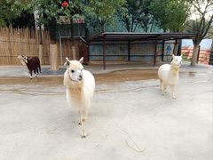 -杭州野生动物世界