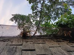 -长鹿旅游休博园