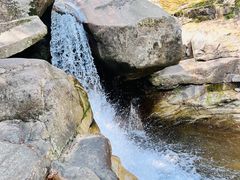 -大鄣山卧龙谷景区