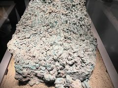 -徐州博物馆