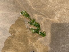 -宁波松兰山滨海旅游度假区