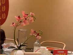 -金鼎轩(鸟巢北辰荟店)