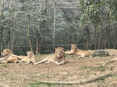 -乐和乐都主题乐园