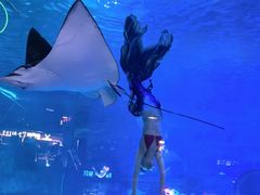 -烟台海昌鲸鲨海洋公园