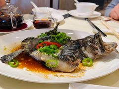 鱼石斑-利苑酒家(华熙国际店)