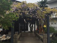 -上海璞麗酒店