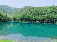 -午潮山国家森林公园