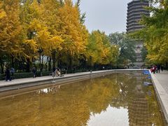 -玲珑塔公园