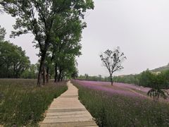 -嵖岈山风景区