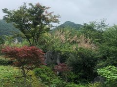-千岛湖石林