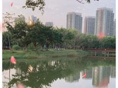 -福田红树林生态公园