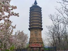 -姚广孝墓塔