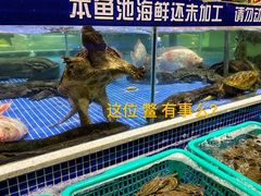 水产区-丰卓会海鲜自助(中润大道店)