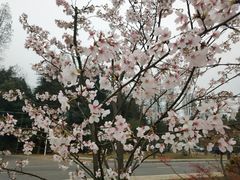 -天花井景区