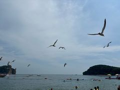 -棒棰岛宾馆景区