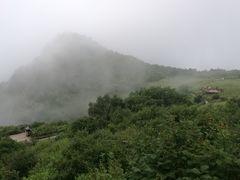 -白草畔自然风景区