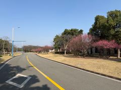 -东钱湖旅游度假区