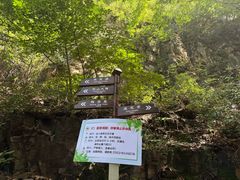 -藏山旅游风景区