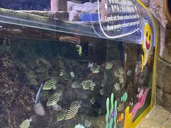 -香港海洋公园