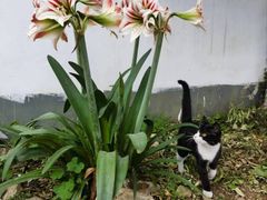 -树厨贵州菜(铜仁花果山店)