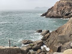 -广东惠东海龟国家级自然保护区