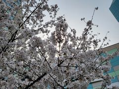 -EVERNAKED裸蛋糕(SOHO天山店)
