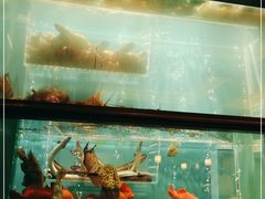 -珍记海鲜酒家(嵩山路店)