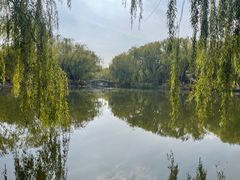 -满都海公园