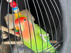 -ITA·意塔意大利餐厅(亦庄店)