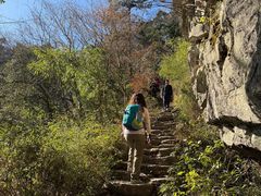 -天目山大树王景区