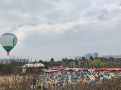 -秀丽东方