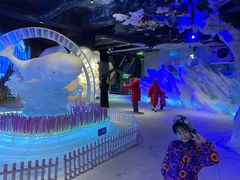 -海合安成都极地海洋公园