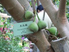-太阳湾风景区