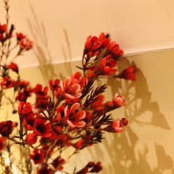 -TIME SPA科技美肤机构