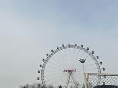 -星海湾跨海大桥