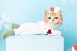 点击看大图 -幺幺BABY婚纱摄影