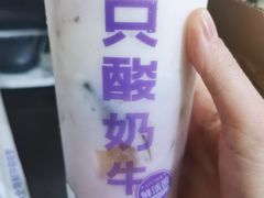 -一只酸奶牛(春熙路店)