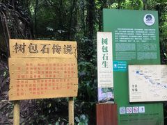 -莫里热带雨林景区