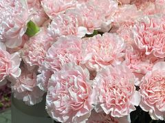 -何兮花店·气球派对鲜花店(马桥银春路万科城店)