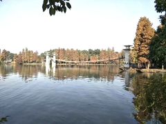 -东湖落雁景区
