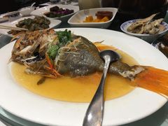 -席家花园(巨鹿花园店)
