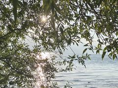 -大理洱海