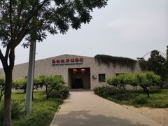 -石家庄市动物园