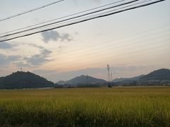 -李东农庄(中南百草园地标店)