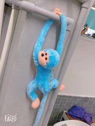 -格调造型